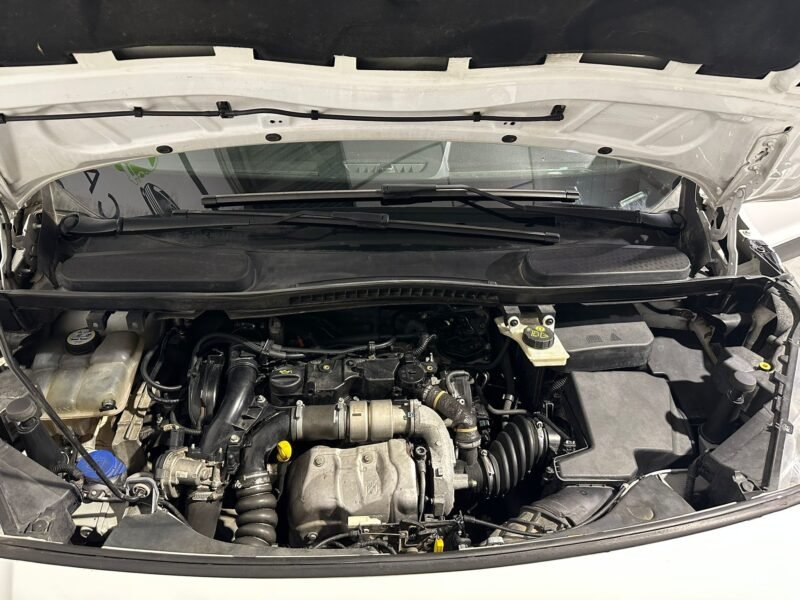 FORD TRANSIT CONNECT kombi ambiente