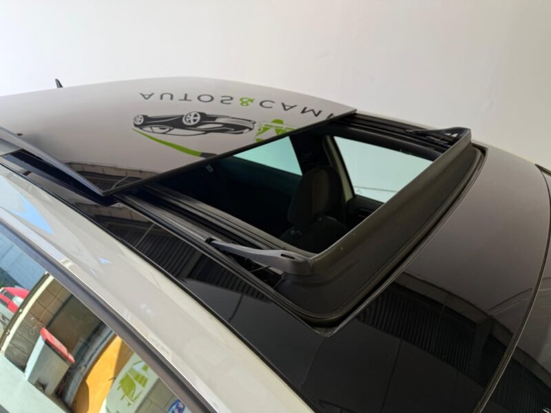 VOLKSWAGEN GOLF GTI GTI Performance 2.0 TSI