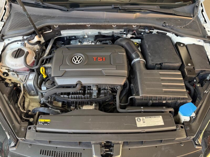 VOLKSWAGEN GOLF GTI GTI Performance 2.0 TSI